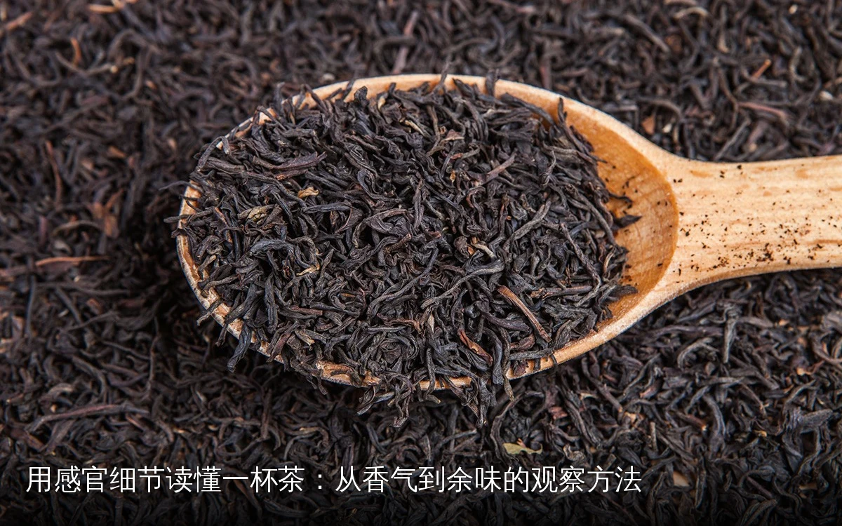 主题场景配图,仅作示意
